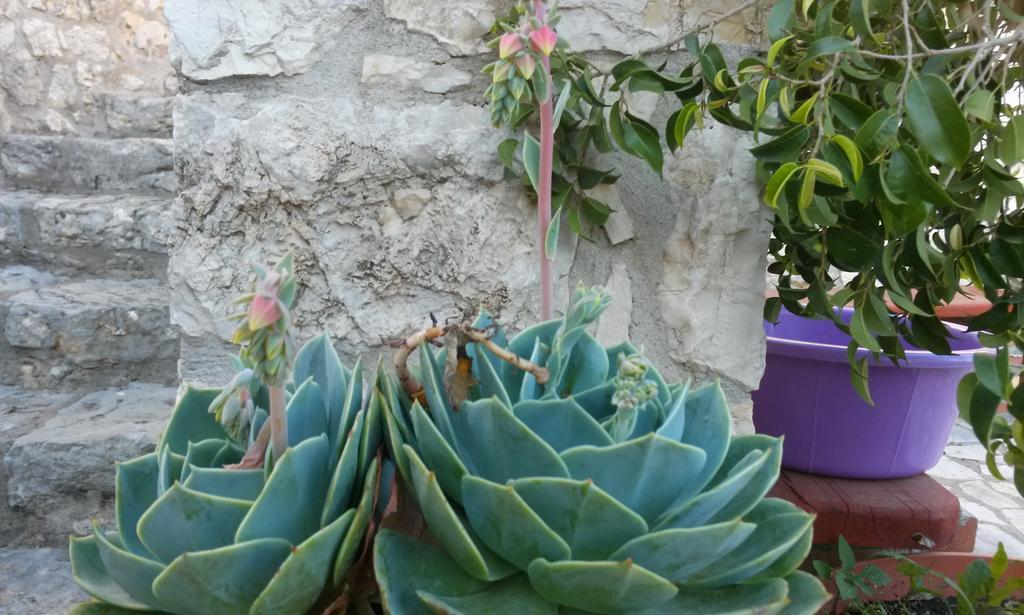 דירות מיקרוס גיאלוס Porto Poros מראה חיצוני תמונה