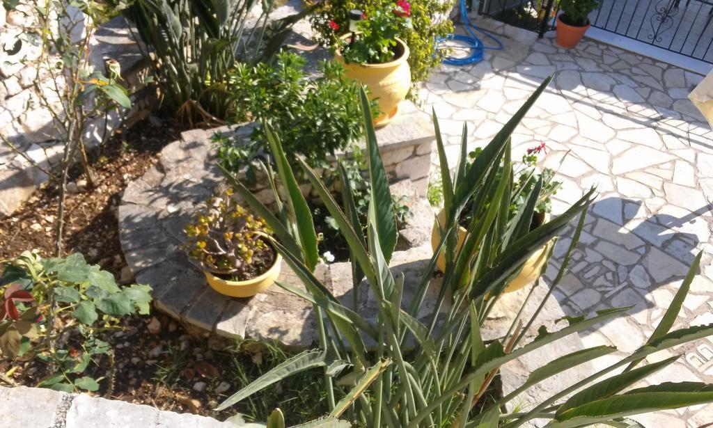 דירות מיקרוס גיאלוס Porto Poros מראה חיצוני תמונה